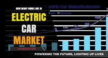 Exploring the Growing Number of Firms in the Electric Car Market