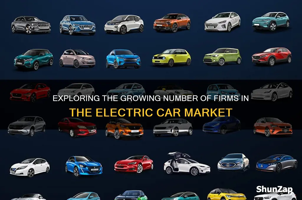 how many firms are in electric car market