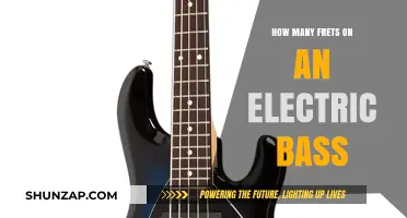 The Electric Bass: Fretting About Frets