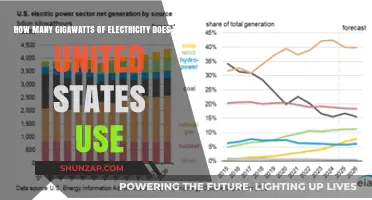 Unveiling America's Power Consumption: Gigawatts of Electricity Usage Explained