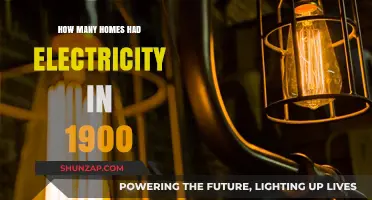 Electricity in Homes: A Rare Sight in 1900