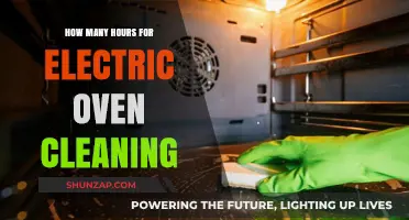 Effective Electric Oven Cleaning in Under an Hour