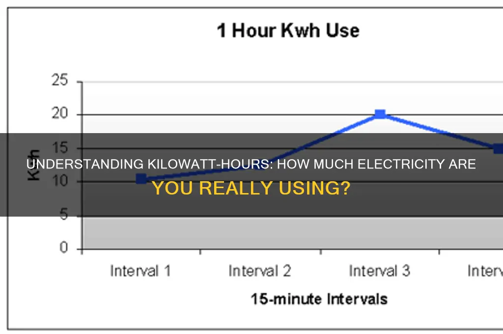 how many hours of electrical use equals 1 kilowatt hour