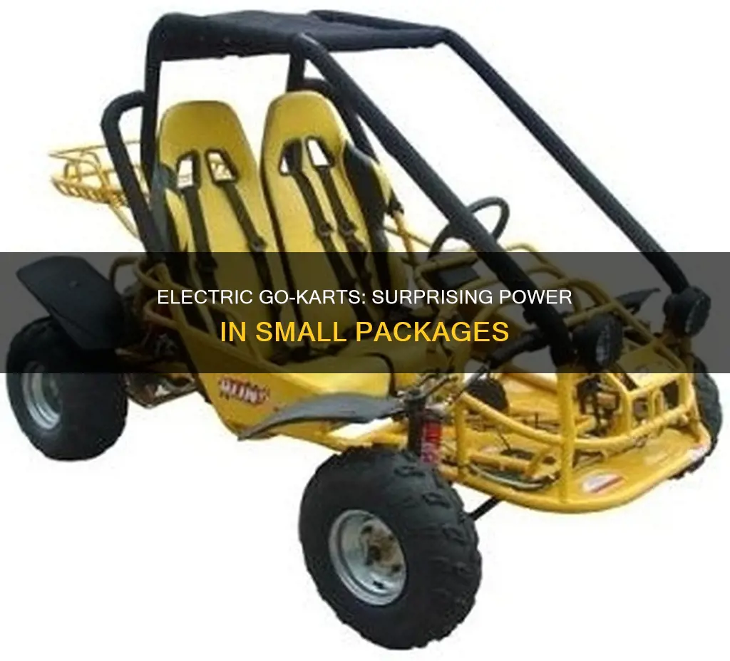 how many hp does electric go cart