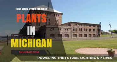 Michigan's Hydroelectric Power Plants: A Comprehensive Overview