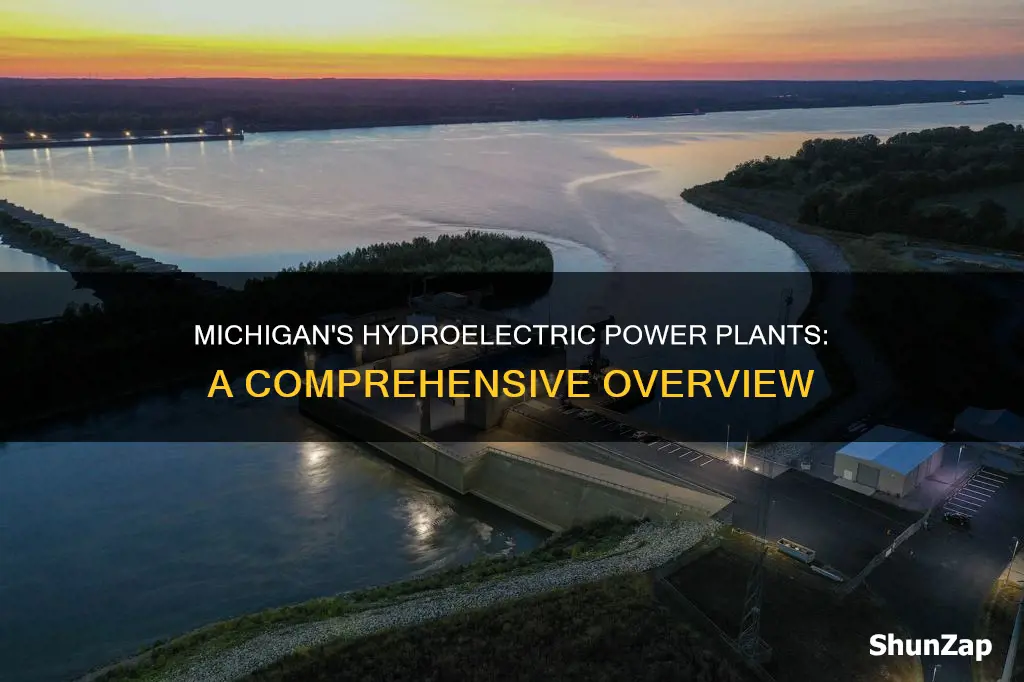 how many hydro electric plants in michigan
