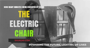 Electric Chair Executions: A Historical Overview of Inmate Deaths
