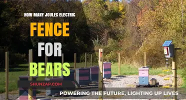 Electric Fence Joules: Bear Safety