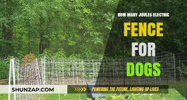 Electric Fence Joules: Keeping Dogs Safe and Secure