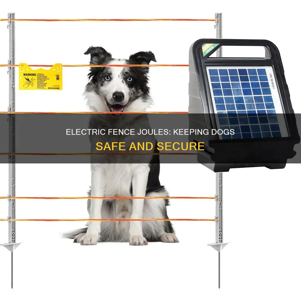 how many joules electric fence for dogs