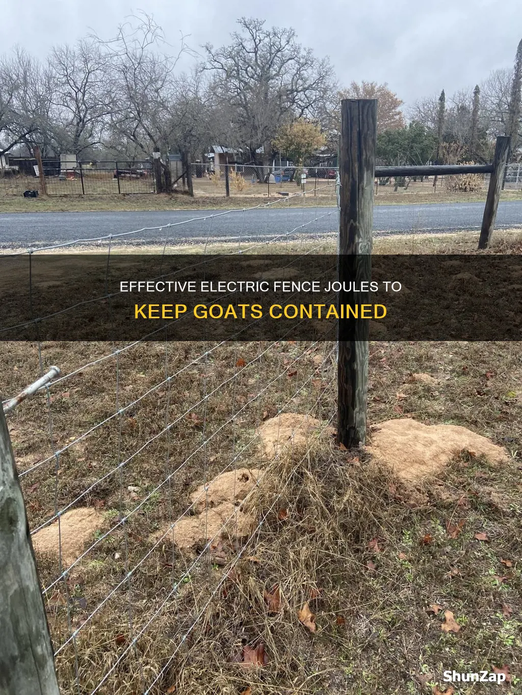 how many joules electric fence for goats