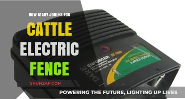 Electric Fences: Joules Needed for Cattle Control