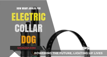 The Shocking Truth About Electric Collars: Joules and Dogs
