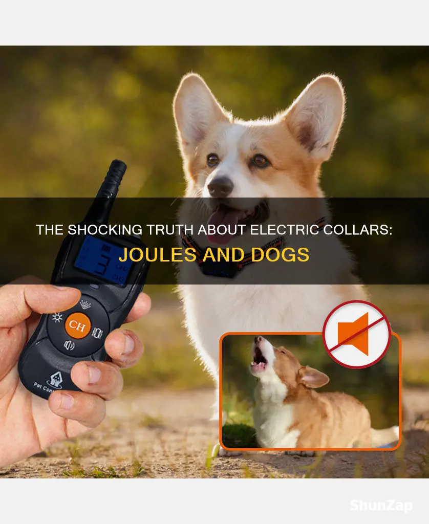 how many joules for electric collar dog