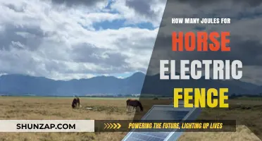 Electric Fences: Joules Needed to Keep Horses Safe