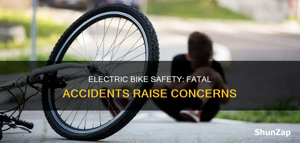 how many killed on electric bike