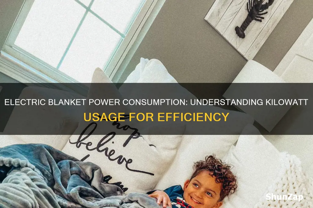 how many kilowatts does an electric blanket use