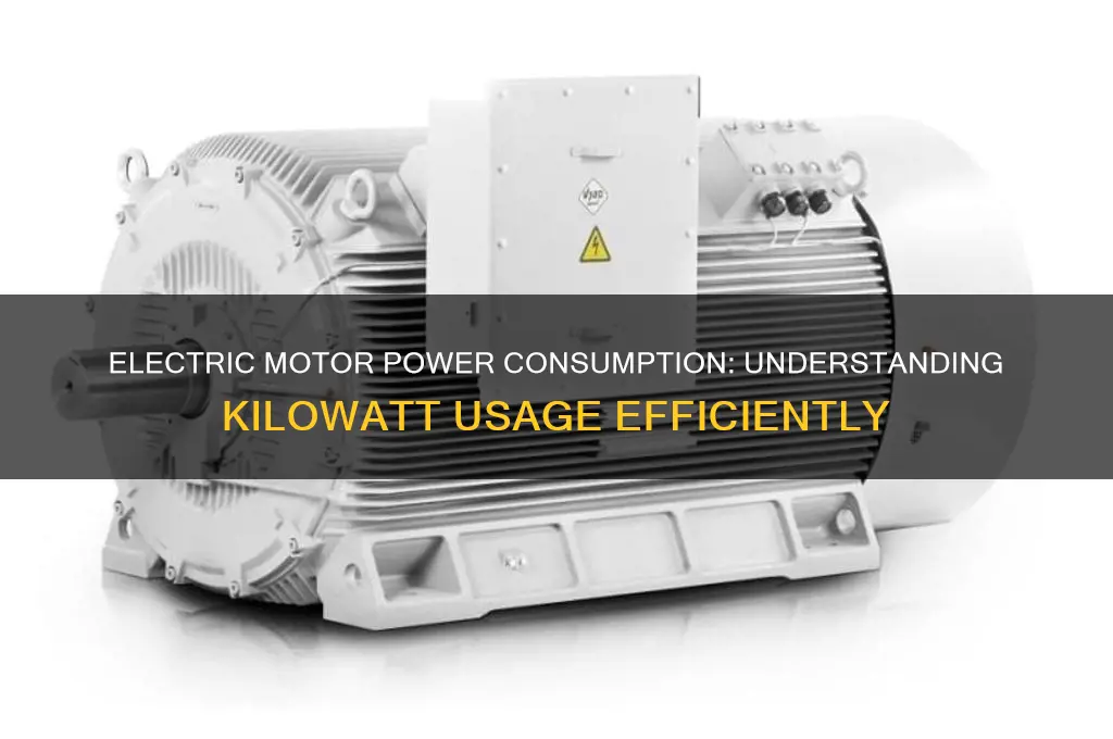 how many kilowatts does an electric motor use