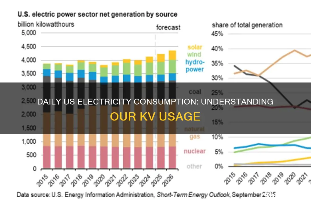 how many kv of electricity does us use per day