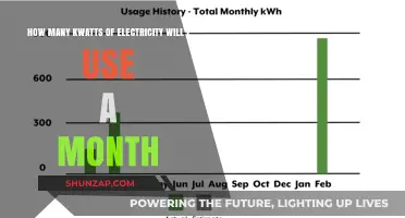 Monthly Electricity Usage: Estimating Your Kilowatt-Hour Consumption