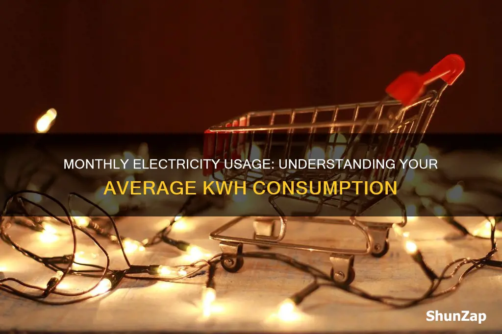 how many kwh electricity per month average