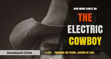 The Electric Cowboy's Dazzling Light Display: How Many Lights?