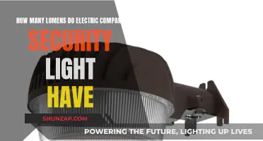 Security Lights: Bright Lumens, Safe Nights