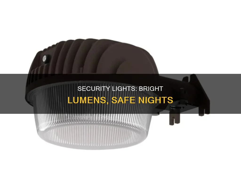 how many lumens do electric company security light have