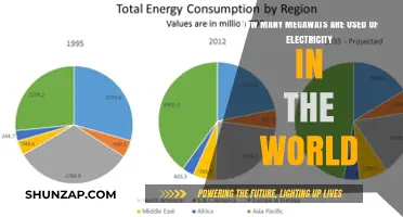 Global Electricity Consumption: How Many Megawatts Power the World?