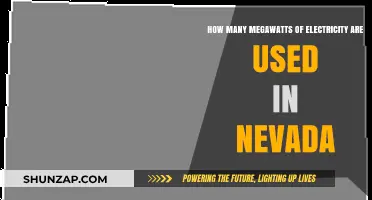 Nevada's Power Consumption: Megawatts of Electricity Usage Revealed