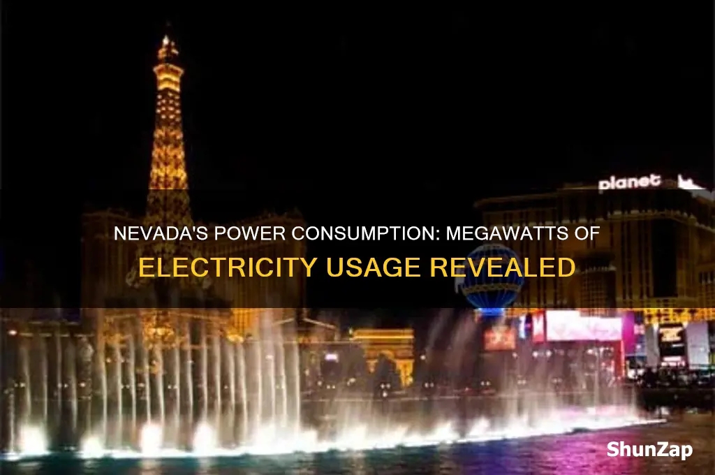 how many megawatts of electricity are used in nevada