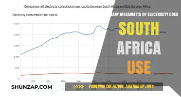 South Africa's Electricity Consumption: Megawatts Usage Explained