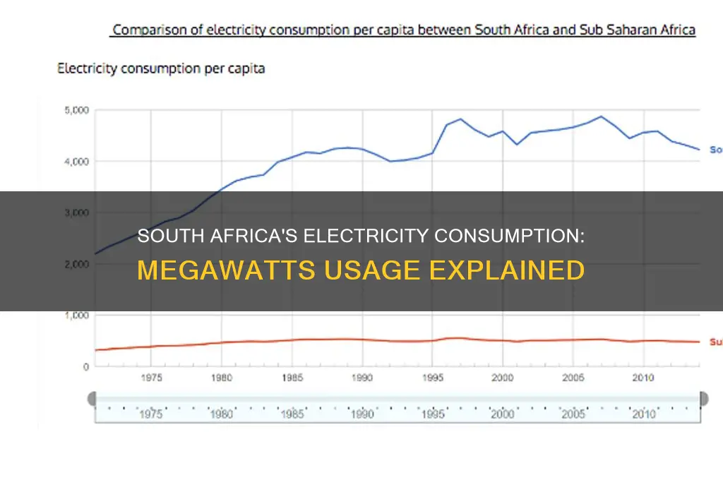 how many megawatts of electricity does south africa use