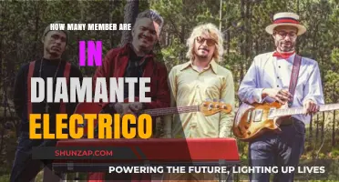 The Dynamic Trio: Diamante Electrico's Musical Journey