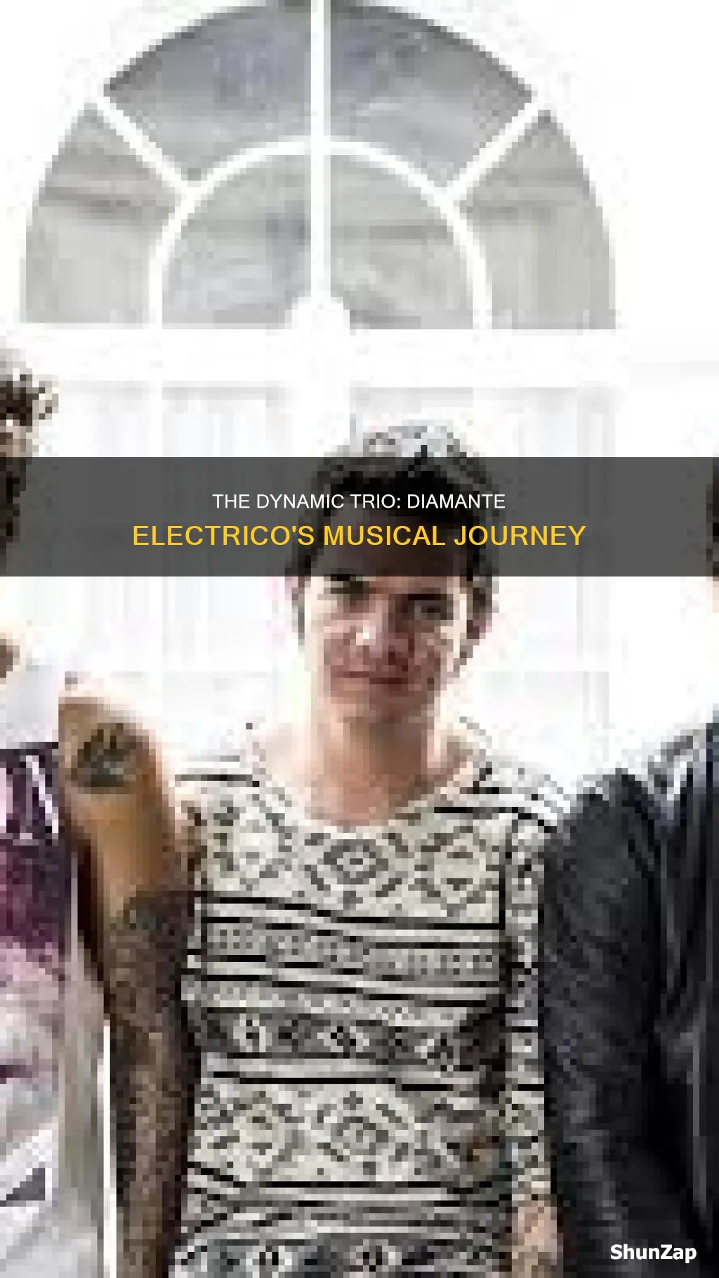 how many member are in diamante electrico