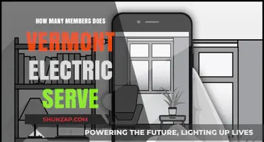 Vermont Electric Cooperative: Powering Over 32,000 Members