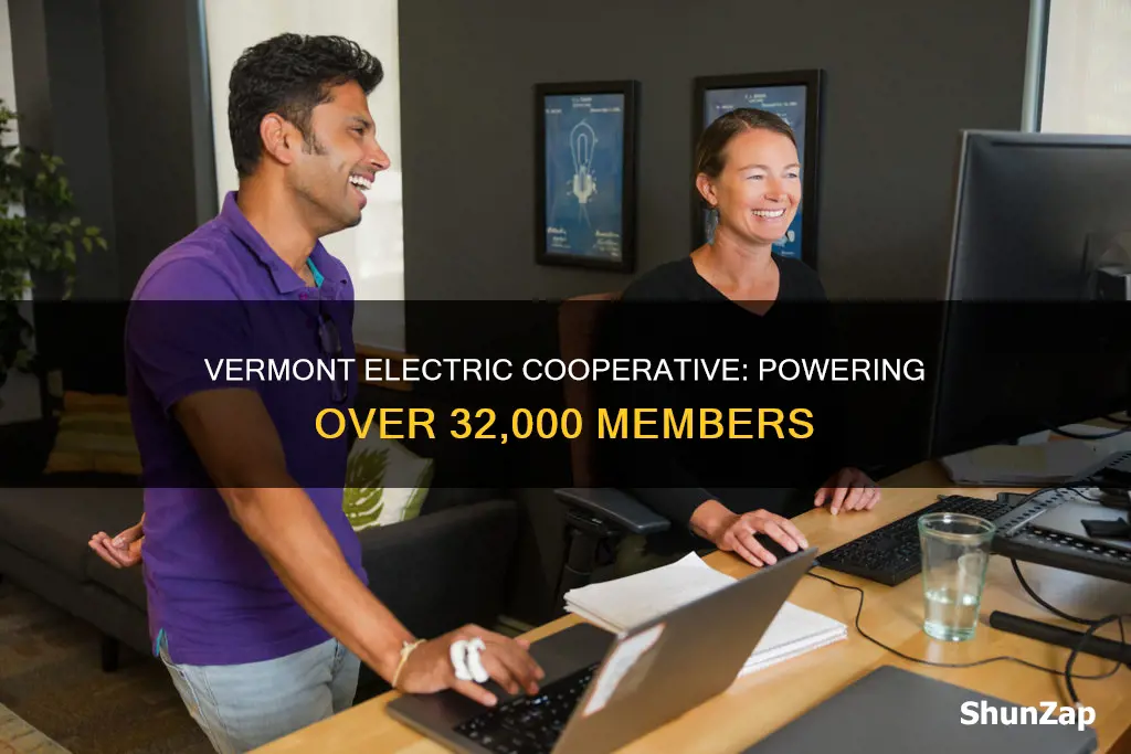 how many members does vermont electric serve