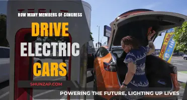 Electric Vehicles in Congress: Who's Driving the Green Revolution?