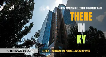 Mr. Electric: A Competitive Landscape in Kentucky