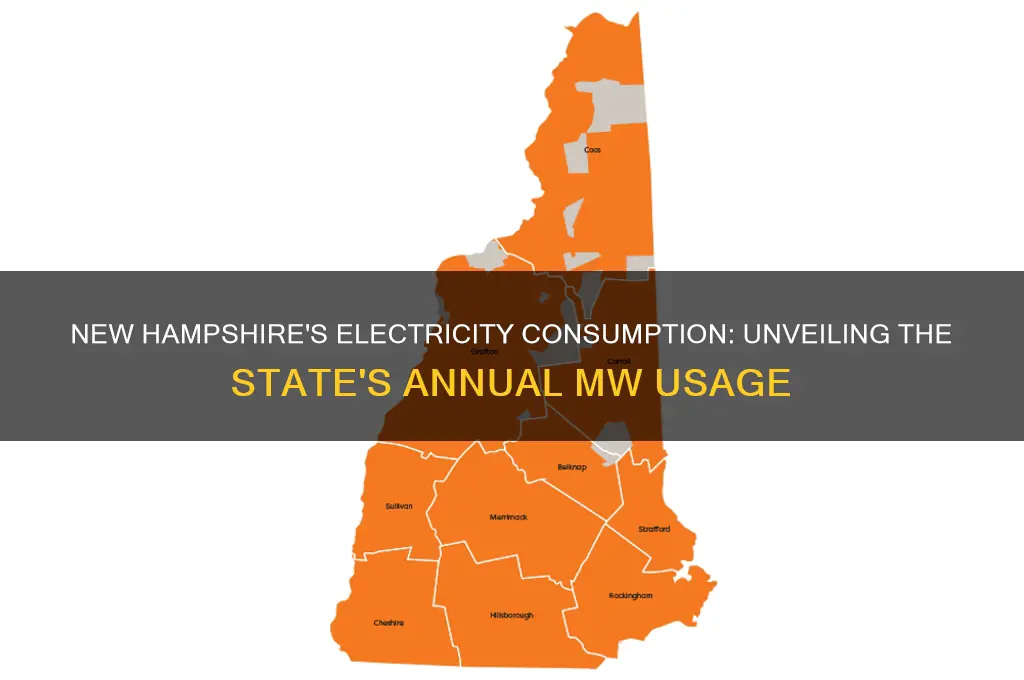 how many mw of electricity does nh use