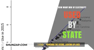 State-by-State Electricity Consumption: Unveiling MW Usage Across the Nation