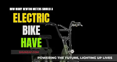 The Perfect Electric Bike: Newton Meters Explained