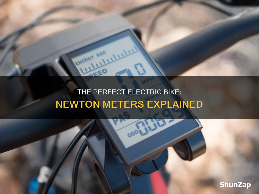 how many newton meters should a electric bike have