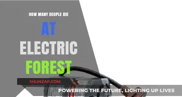 Electric Forest: A Deadly Festival?