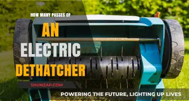 Effective Electric Dethatching: Number of Passes for Best Results
