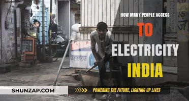 Access to Electricity in India: Millions Still in the Dark