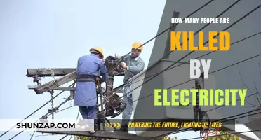 Electricity's Deadly Shocking Impact on Humans