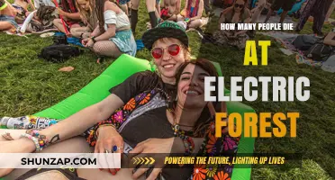 Electric Forest: A Deadly Festival?