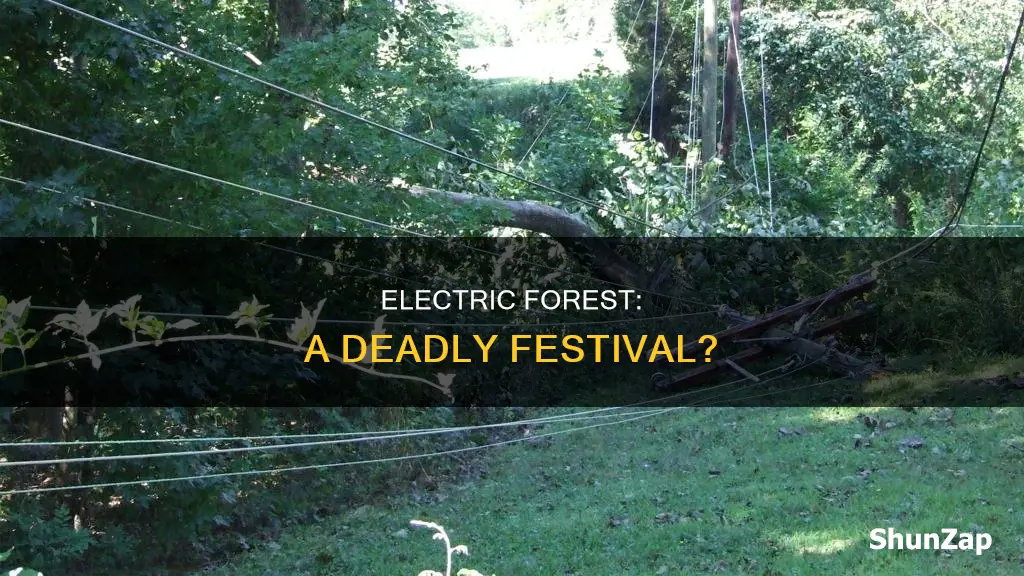 how many people die at electric forest
