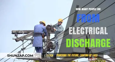 Electrical Discharge Fatalities: Understanding the Shocking Statistics